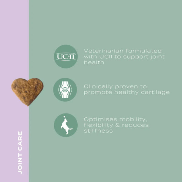 UC-II® Joint Care Dog Chews - Image 7