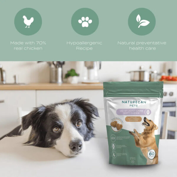 UC-II® Joint Care Dog Chews - Image 8