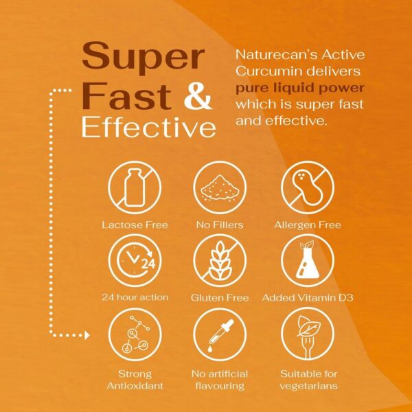 Active Curcumin - Image 4