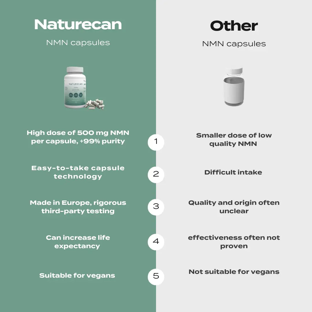 NMN Supplements - Image 6
