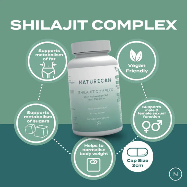 Shilajit - Image 2