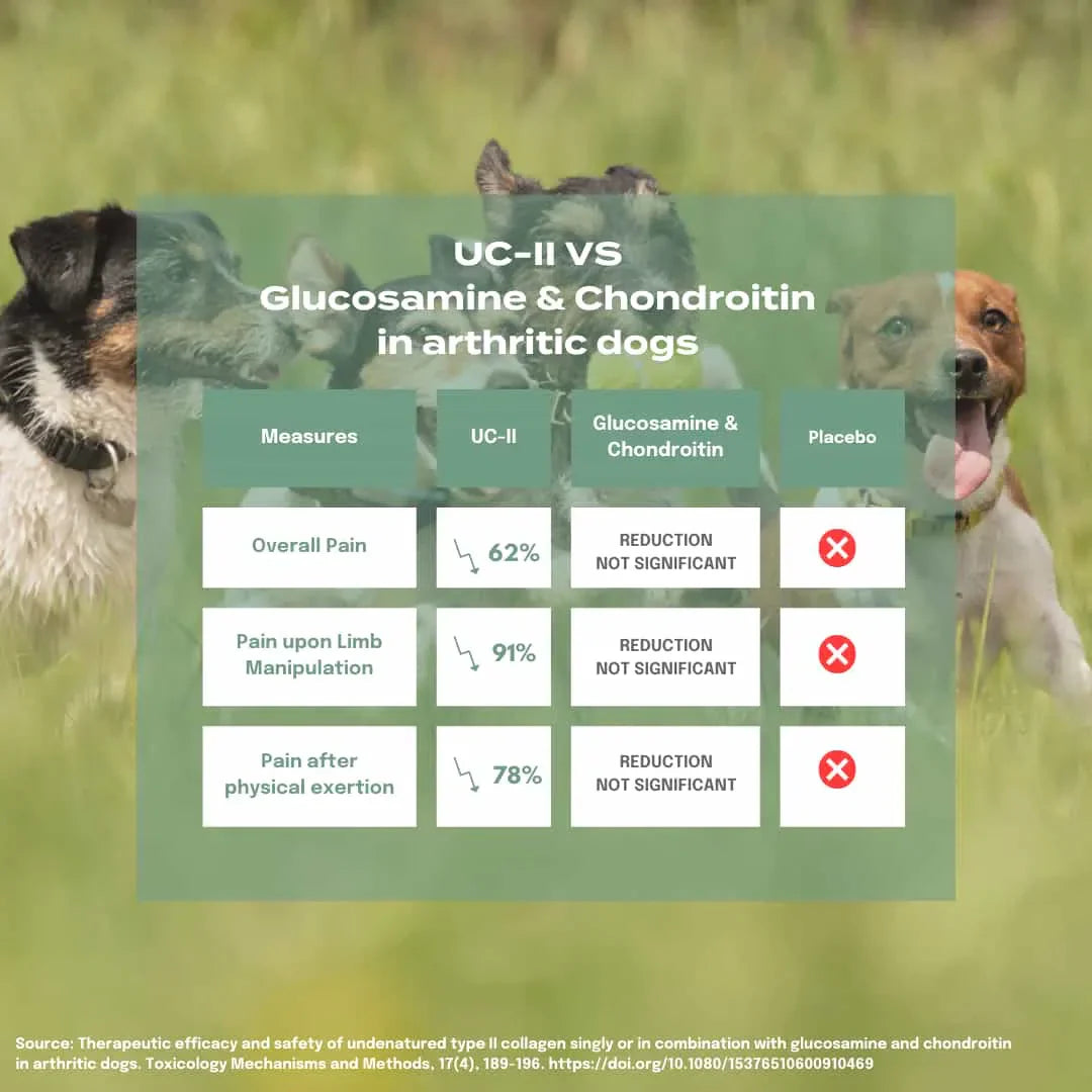 UC-II® Joint Care Oil for Dogs - Image 6