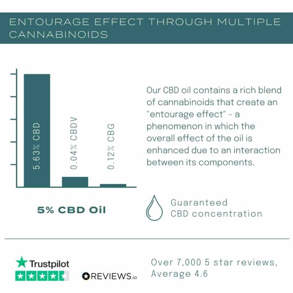20% CBD Oil - Image 5