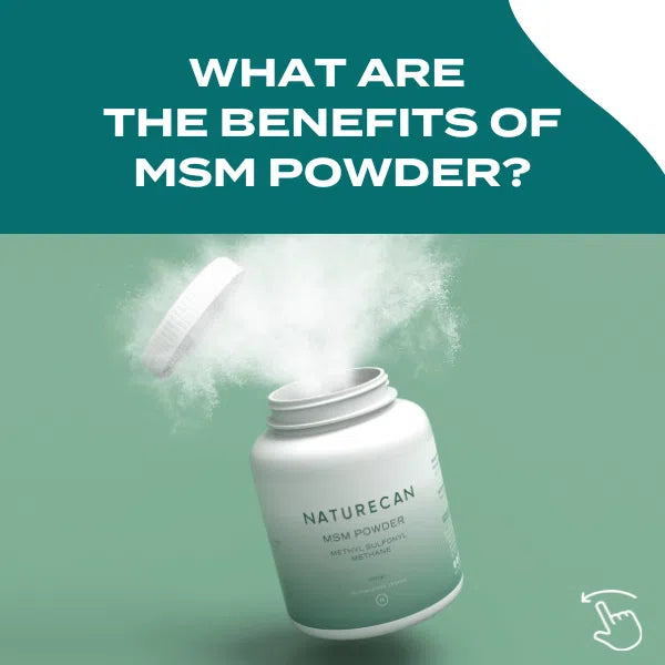 MSM Powder - Image 2