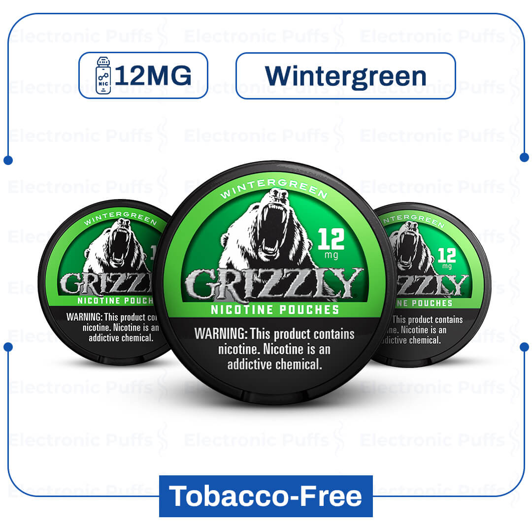 Grizzly Wintergreen 12 mg Nicotine Pouch